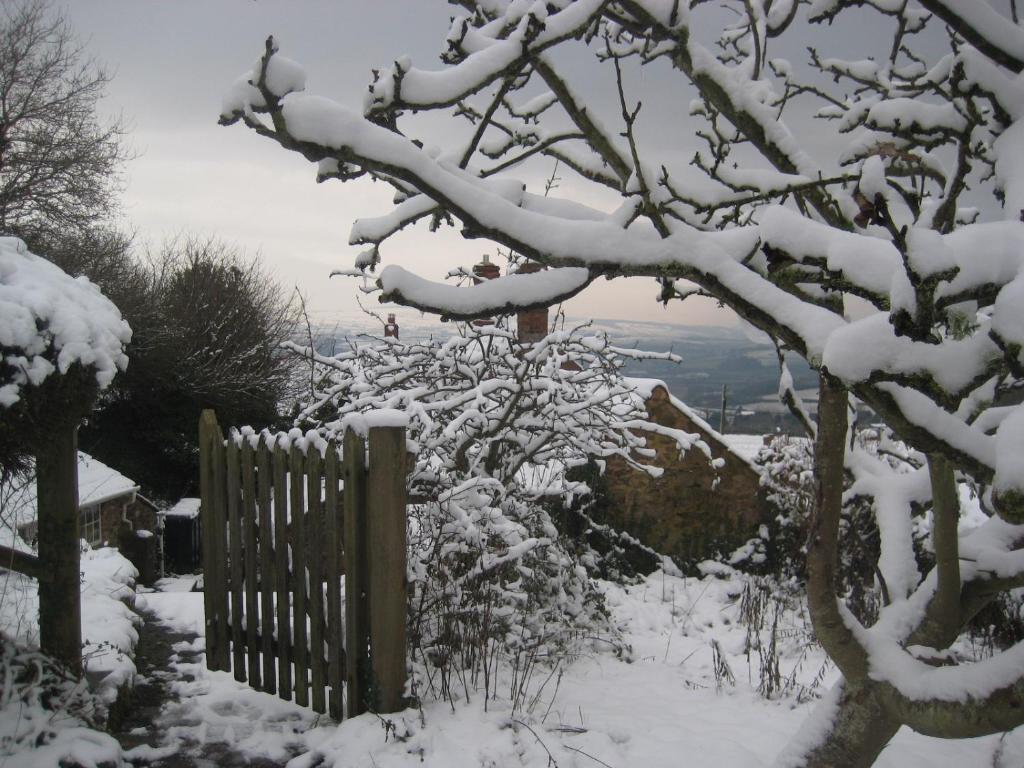 Moonfleat Villa West Quantoxhead Dış mekan fotoğraf